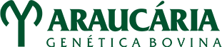 Araucária Genética Bovina